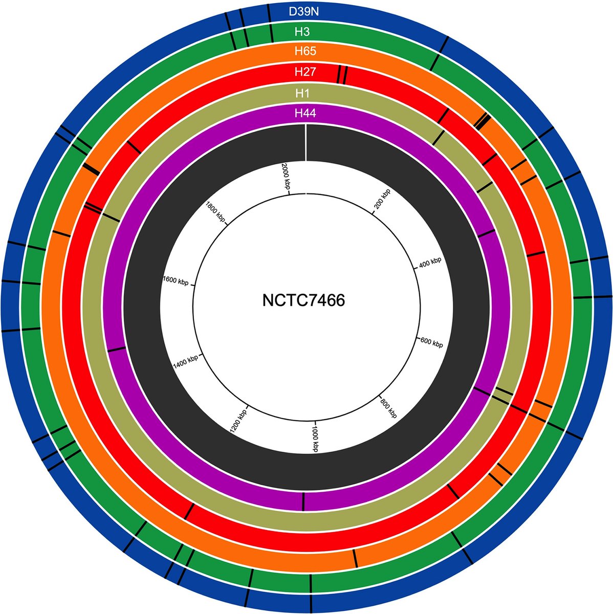 JournalSpectrum's tweet photo. Can the different ways in which we handle bacteria in the lab influence our experimental outcomes via effects on bacterial population genetic structure? This study with Streptococcus pneumoniae suggests the answer is yes. @MicrobeAdapt https://t.co/jVYnzYCnnR https://t.co/3nmv9j2dEL