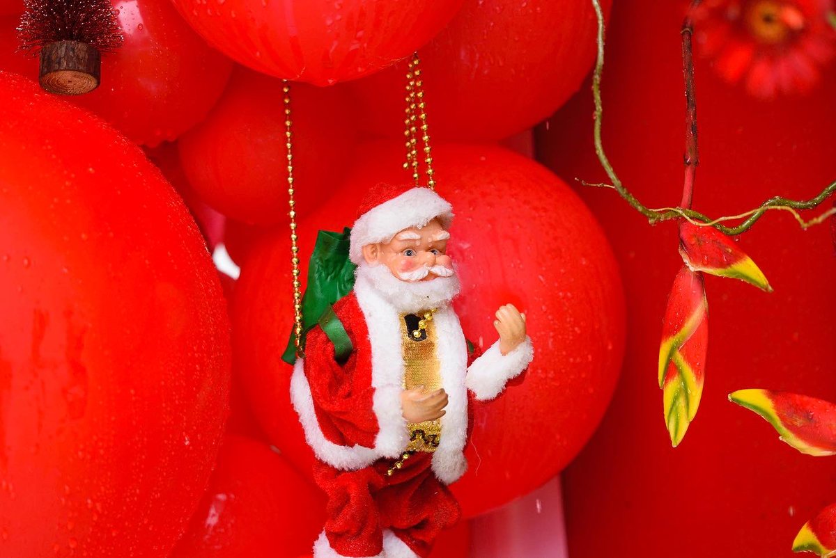 nonoevents's tweet image. Christmas Lunch Deco
Thank you  @LesegoPitso9 🙏
#RedTheme #ChristmasDeco
#IntimateCelebrations #Celebrations 
#Candles #Flowers
#NonoEvents