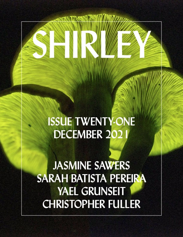 Issue 21 is now in the archive 🍄
shirleymag.com/archive