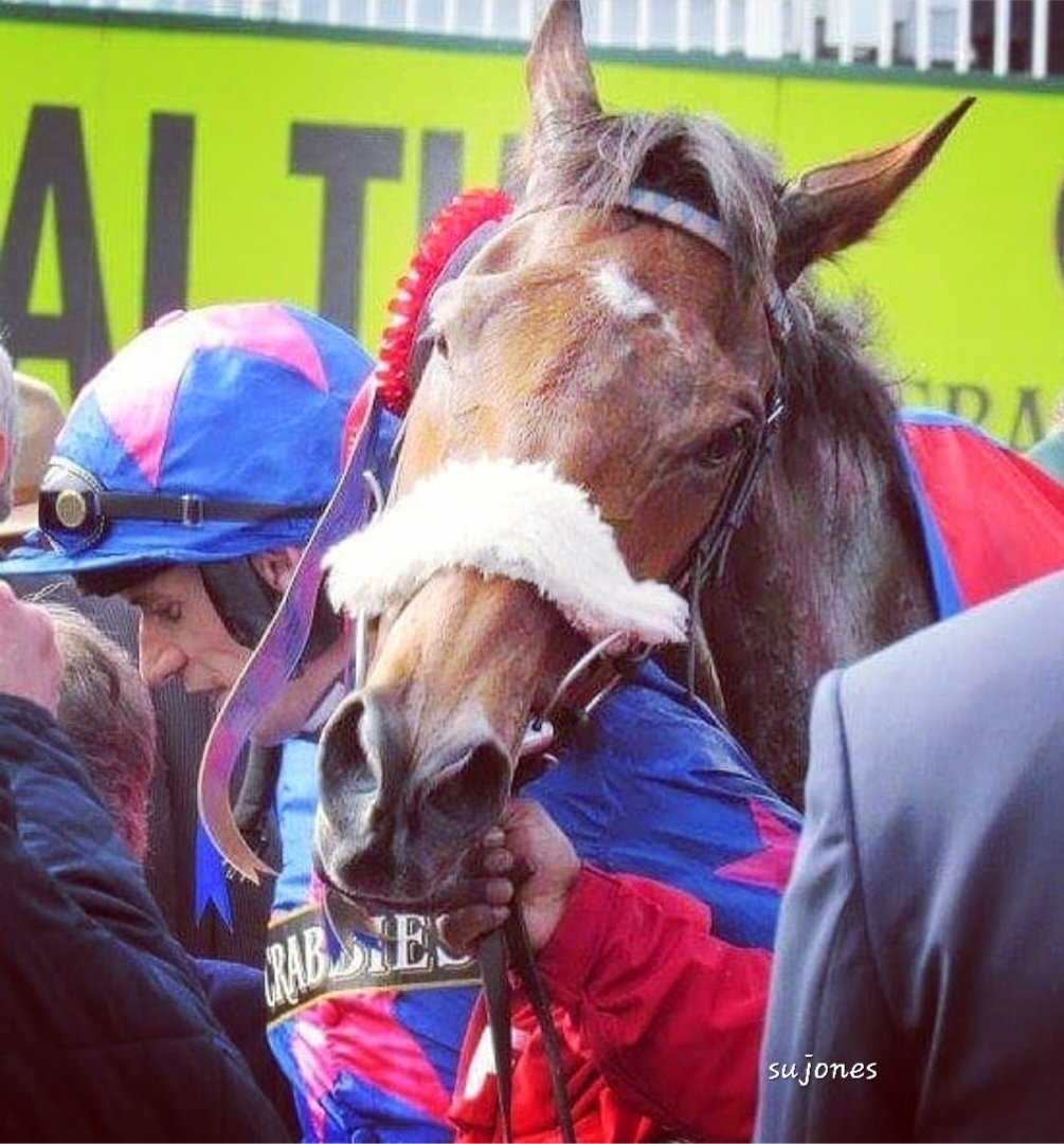 jones4352's tweet photo. There are a couple of photos that I've always been proud of taking,that special captured moment that needs no words and this is one of them. Rest easy fella and thankyou #cuecard ❤ https://t.co/WWlVhhDnnb