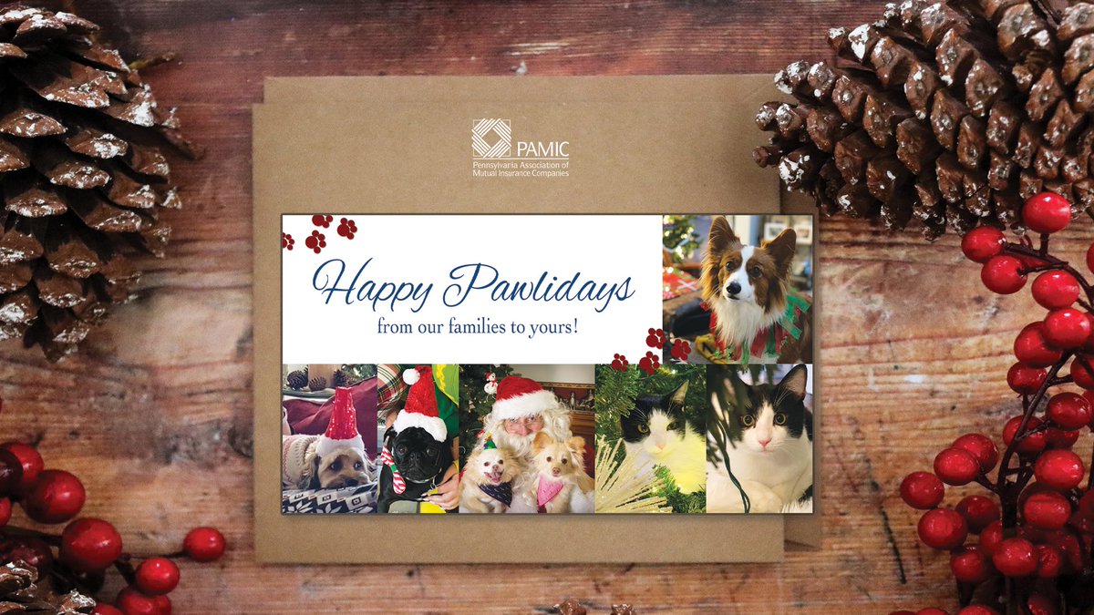 We would like to wish you a safe and Happy Holiday and a Happy New Year! The PAMIC office will be closed on Monday, December 26, 2022, and Monday, January 2, 2023, in observance of these holidays. Thank you for another wonderful year, and we look forward to 2023!