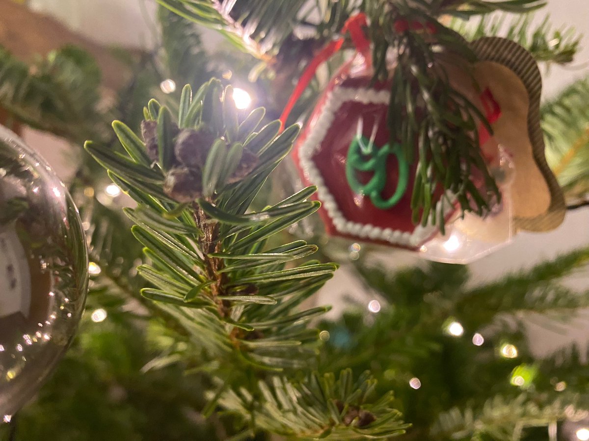 Christoefur11's tweet photo. Happy holidays, lots of recup and relaxation, and quality time with friends and family everyone!🌟 https://t.co/uNk4Hhv4dX