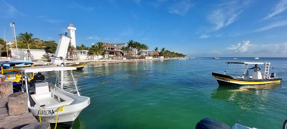 InPuertoMorelos tweet media