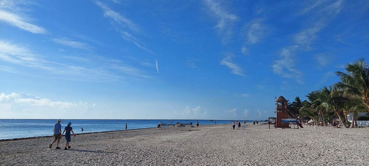 InPuertoMorelos tweet media