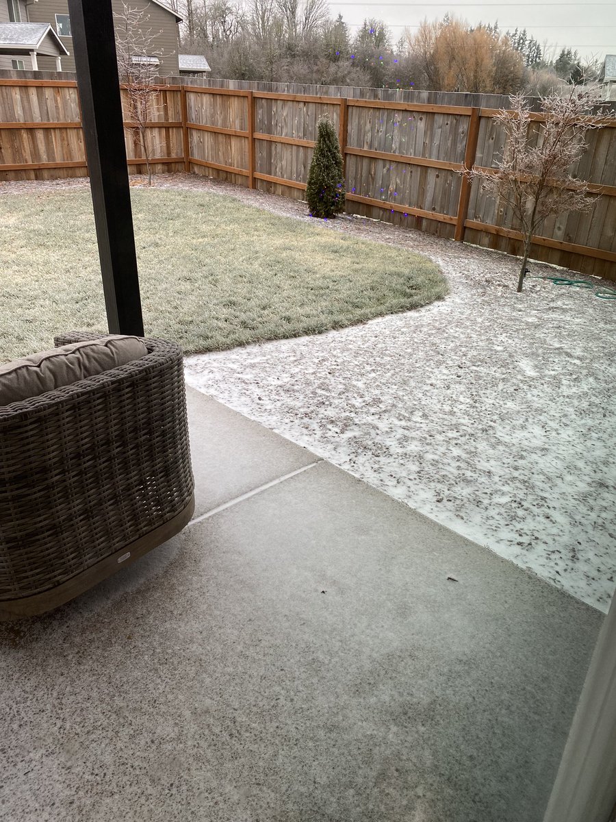 Molly Henery tweet media