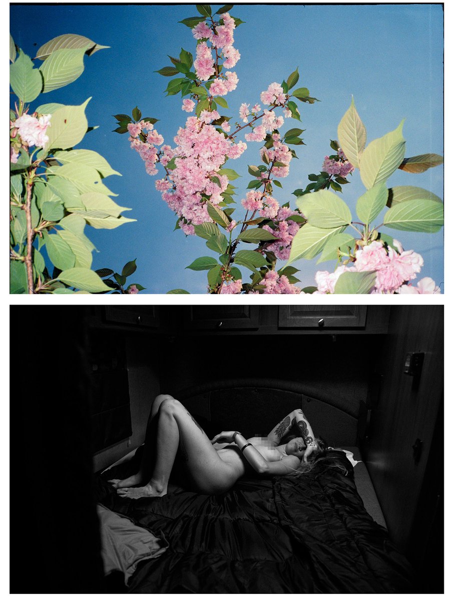 Sulavan A.I. tweet media