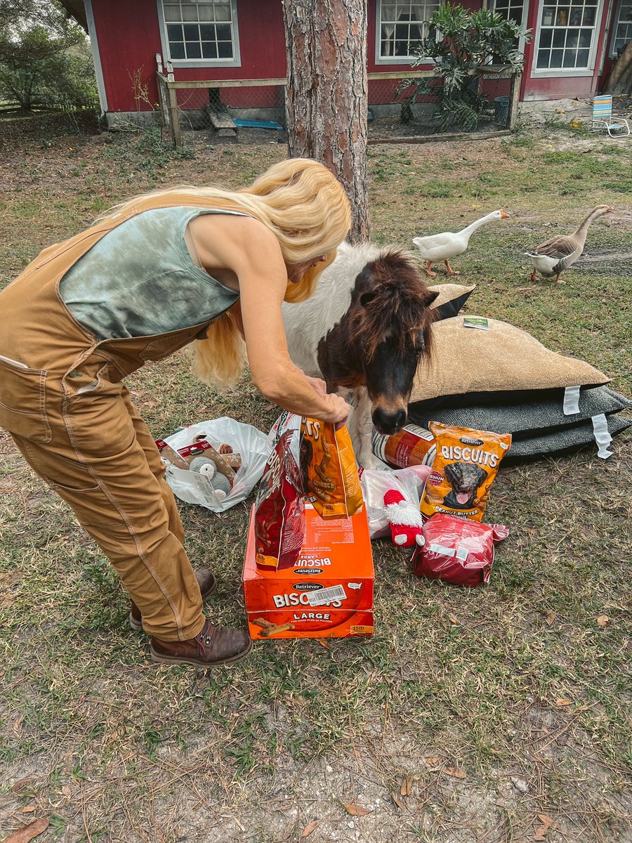 eco sister tweet media