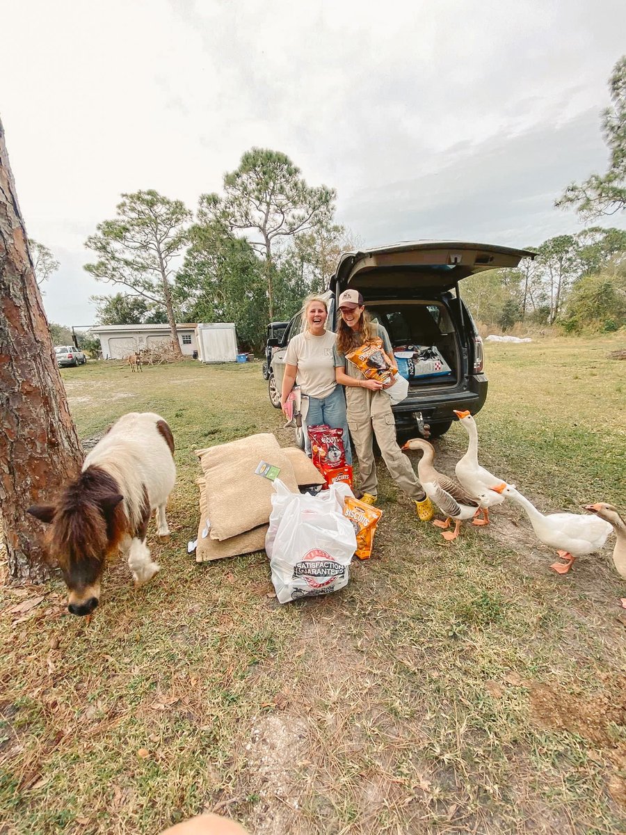 eco sister tweet media