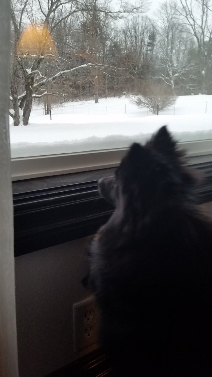 Snow???