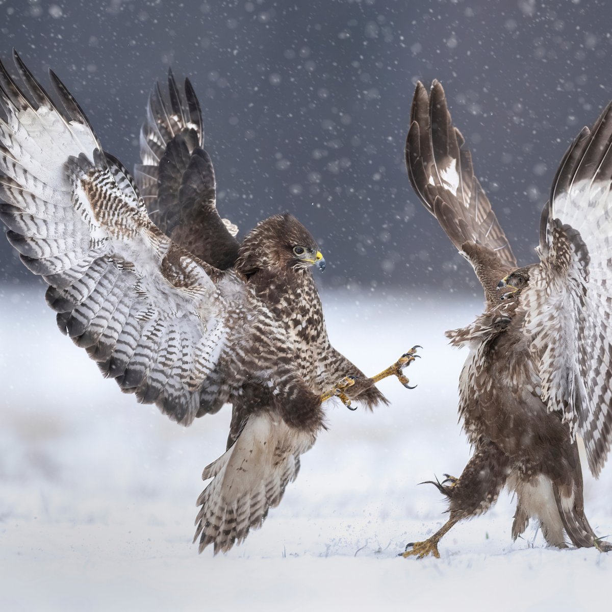 We wish you excellent holidays!