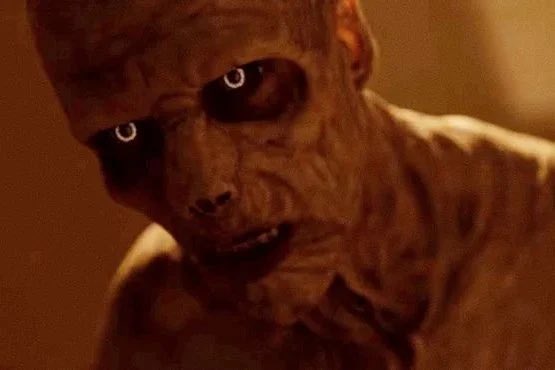 M. BUTTEЯFLY tweet media