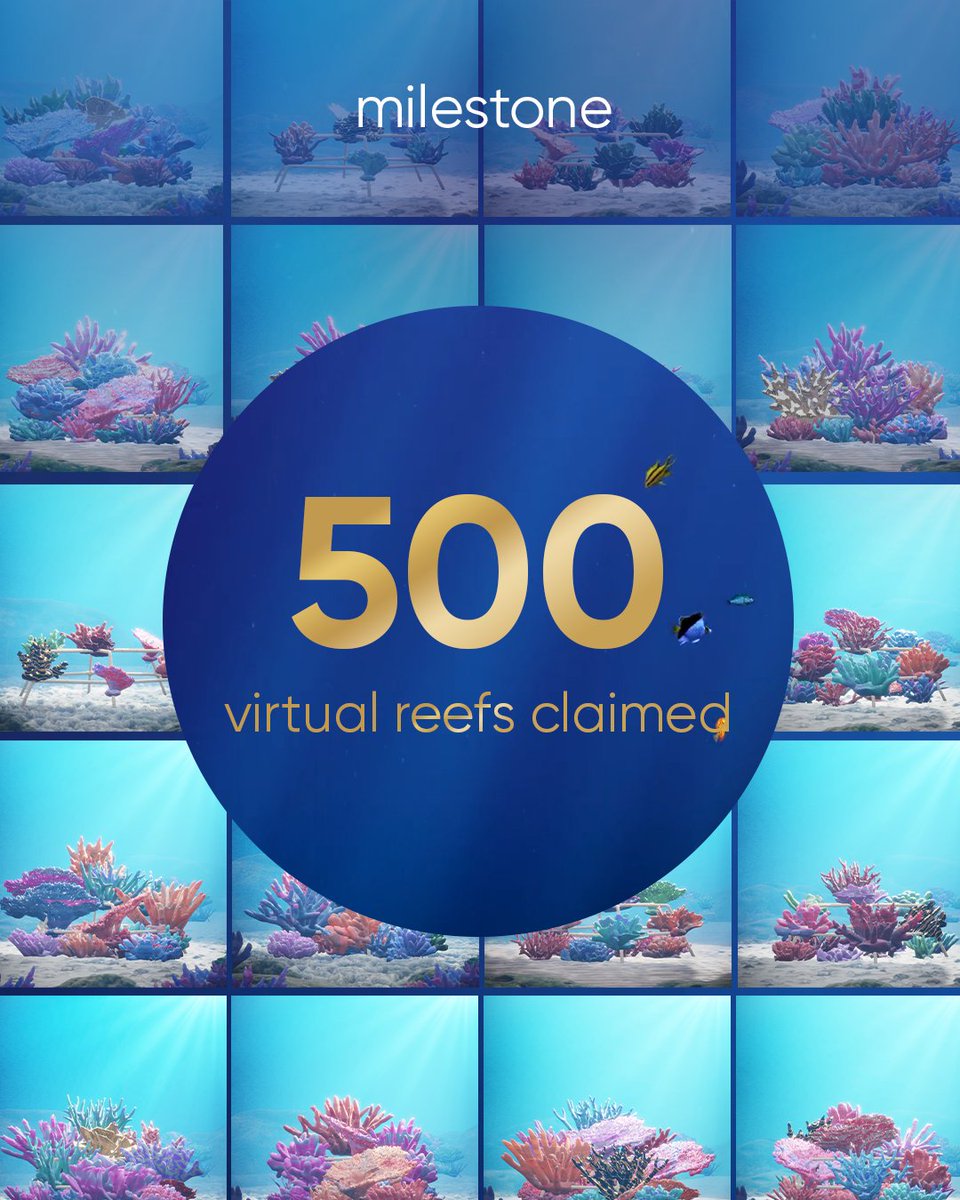 shebahopegrows's tweet photo. Since the launch of our virtual reefs, we’ve almost hit our 1st milestone of 500 virtual reefs claimed! 💙 This means we’ve raised $25,000 for real-world reef restoration. And this is just the beginning...

#ShebaHopeGrows #ReefRestoration #Coral #Reef #Ocean #EatSleepReef #Sea https://t.co/SEJhqxdCRx