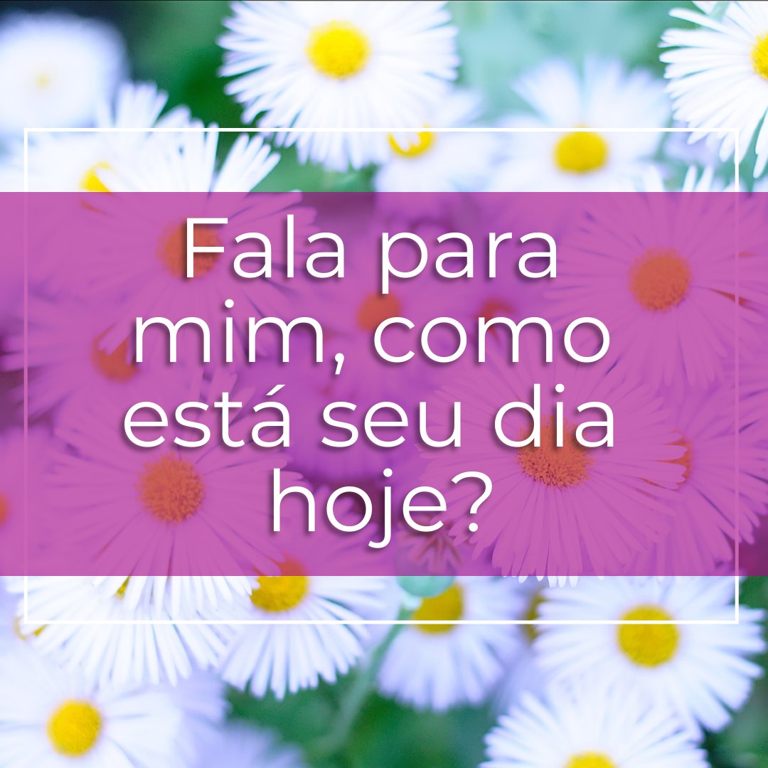 (@CasaCigana) / Twitter (@CasaCigana) / Twitter