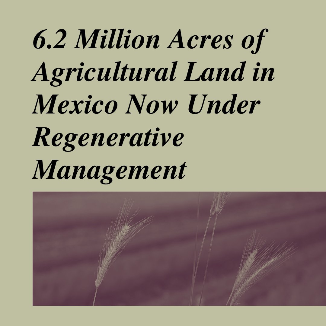 USFCA Sustainability tweet media