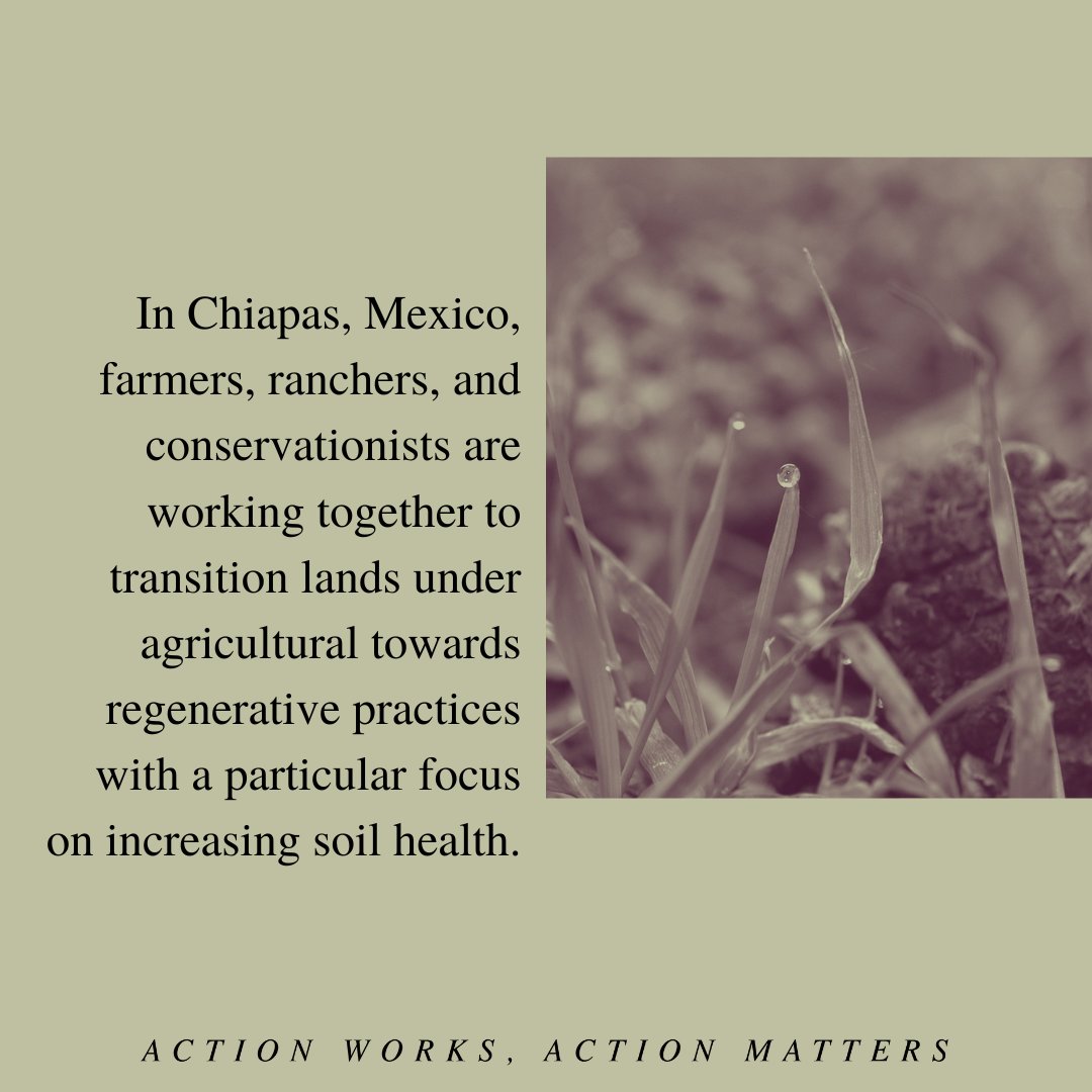 Happy Friday! Here's some weekly positivity from the office of sustainability. Always remember that your actions can make a difference! 💚💚💚

 #usfca <a href="/usfca/">University of San Francisco</a> #sustainableusfca #usfcaclassof2026 #usfcaclassof2025 #sustainability #goodnews