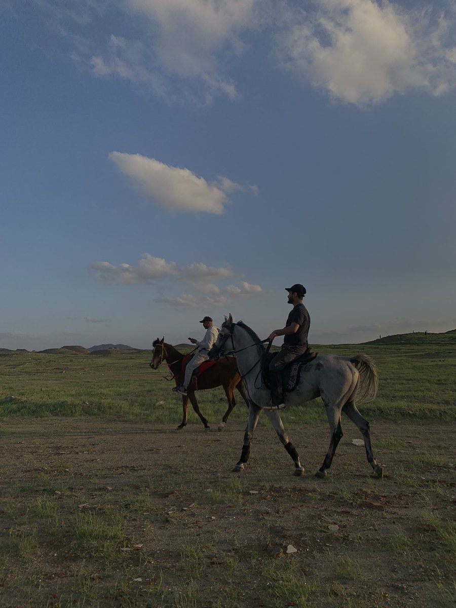 bn200416's tweet photo. 🐎🤍 https://t.co/aBUzmScfwg