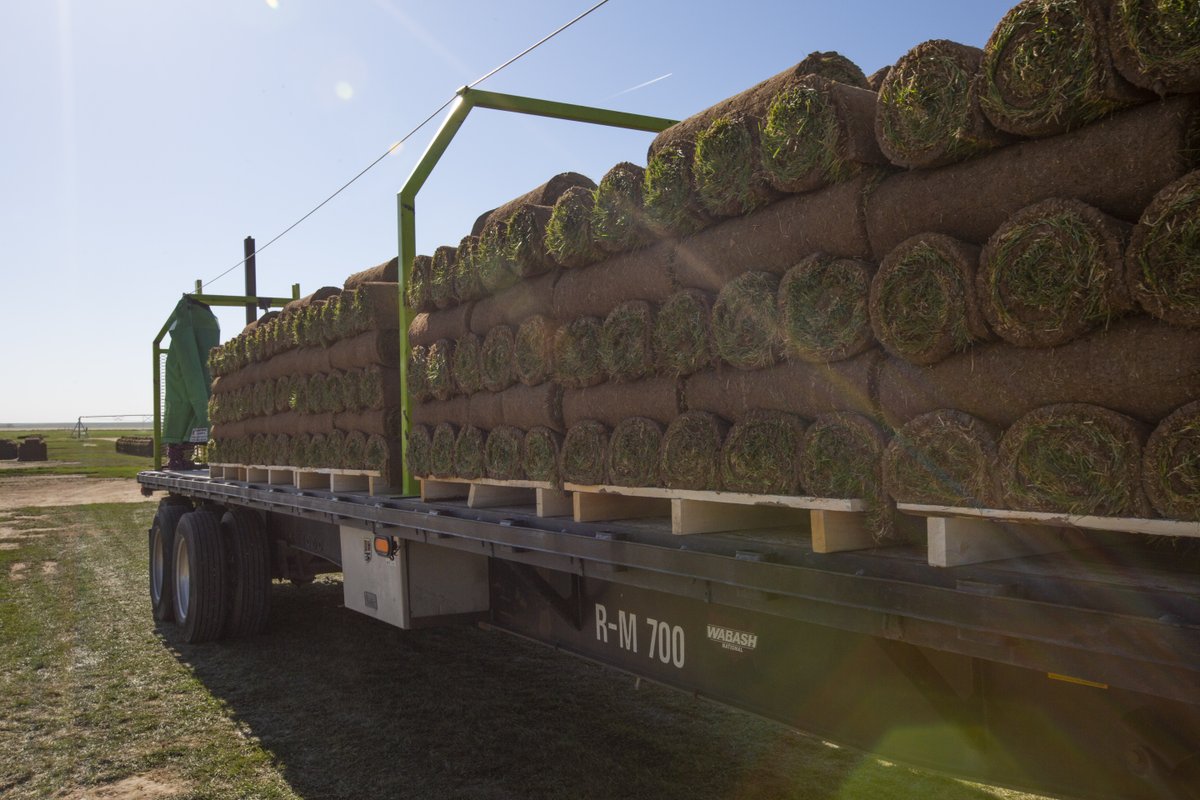 WoernerLS's tweet image. Happy #FarmFriday! 🚜🌱 Today, we're in awe over all of these rolls of sod from our CO farm 😍