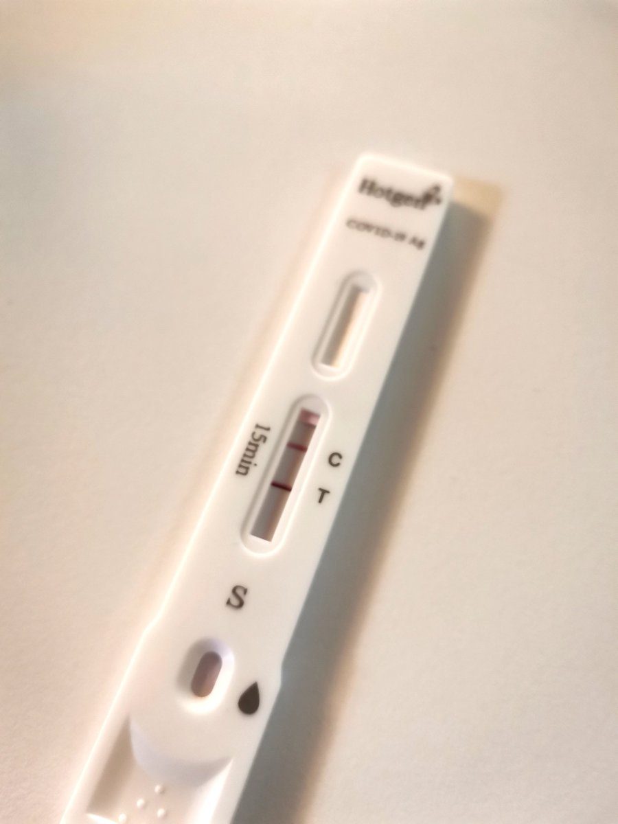 No, vsaj test za nosečnost ni... Vesele praznike iz samoizolacije!