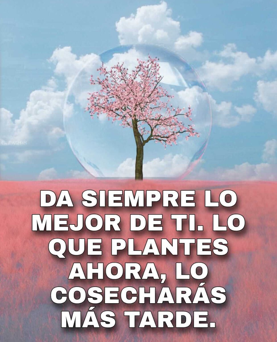 Escuela de Vida (@escueladevida21) on Twitter photo 