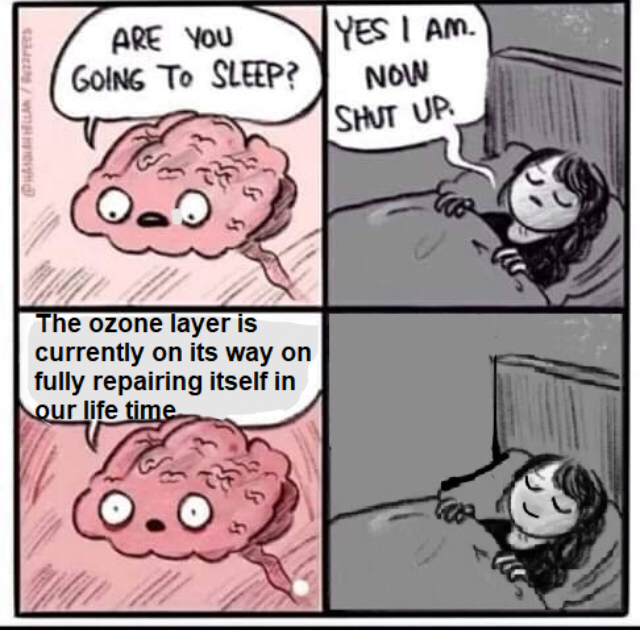 WholesomeMeme's tweet photo. https://t.co/uq7TIqi7zi