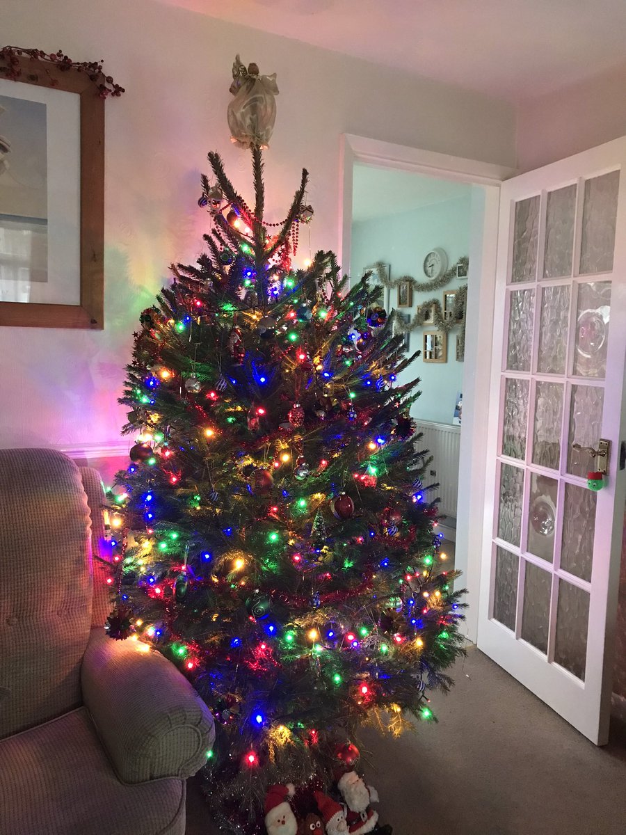 mummyjilly's tweet photo. I know you hate coloured lights @williamhanson but I’m a child of the 1970’s and get to choose the fairy light colour every other year. #pickytree https://t.co/pjxOv6SzFM