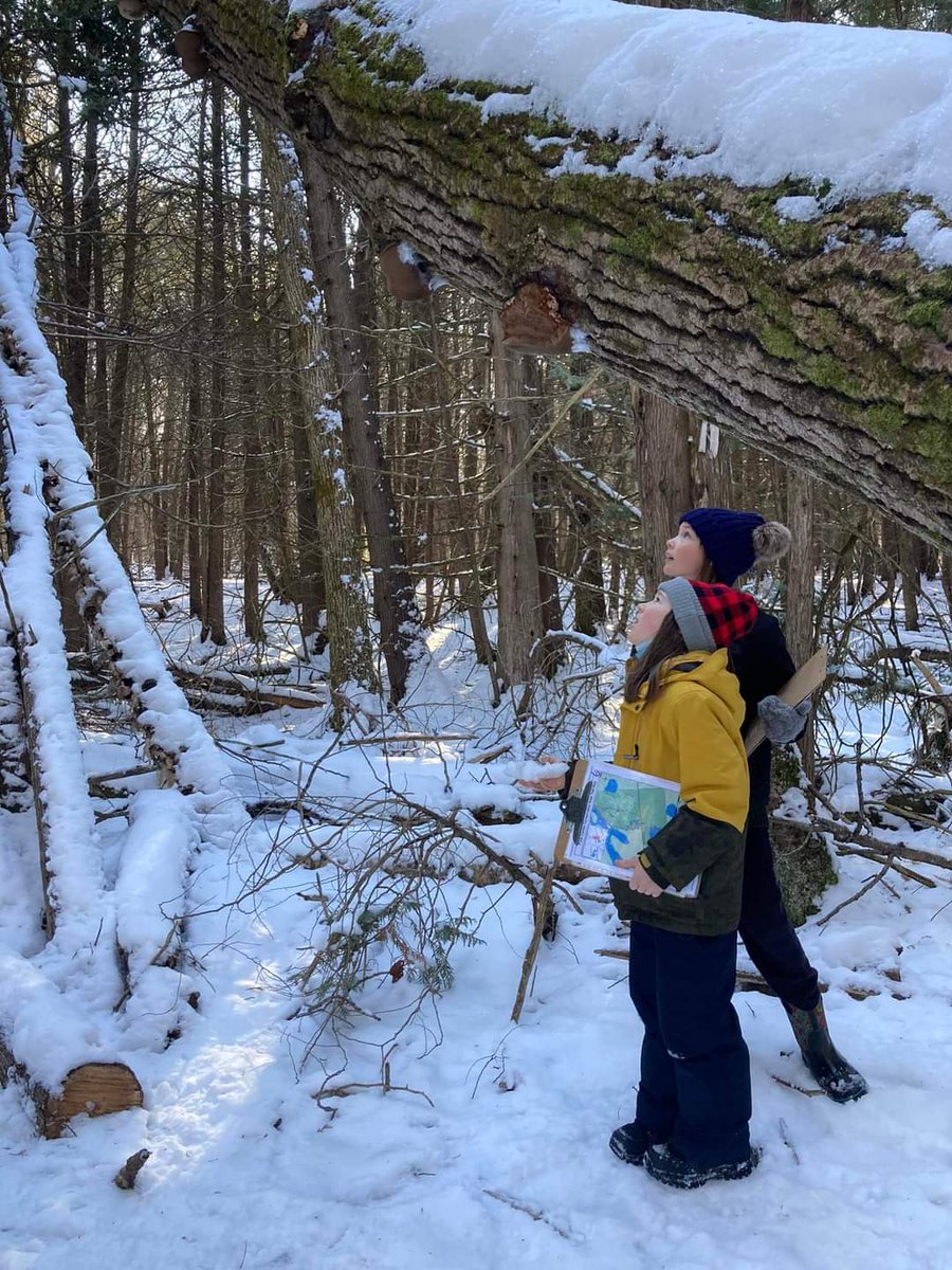 HPE_Adventure's tweet photo. Enjoying the Winter Solstice at the Frink Centre 🥰 A sense of wonder & curiosity will serve them well their whole lives.
#OutdoorEducation #STEM #Multigradelearning #ExperentialLearning @1000HoursOutsid @HPEschools @InQuinteNews @HRFrinkCentre @QCOutreach https://t.co/x9joLmKoKS