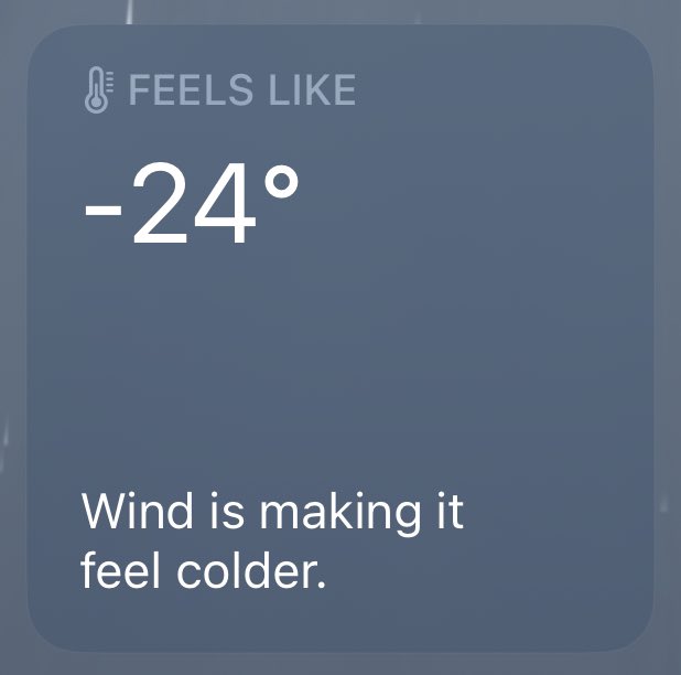 It is terribly, horribly, brutally cold https://t.co/mRkRbMMR73