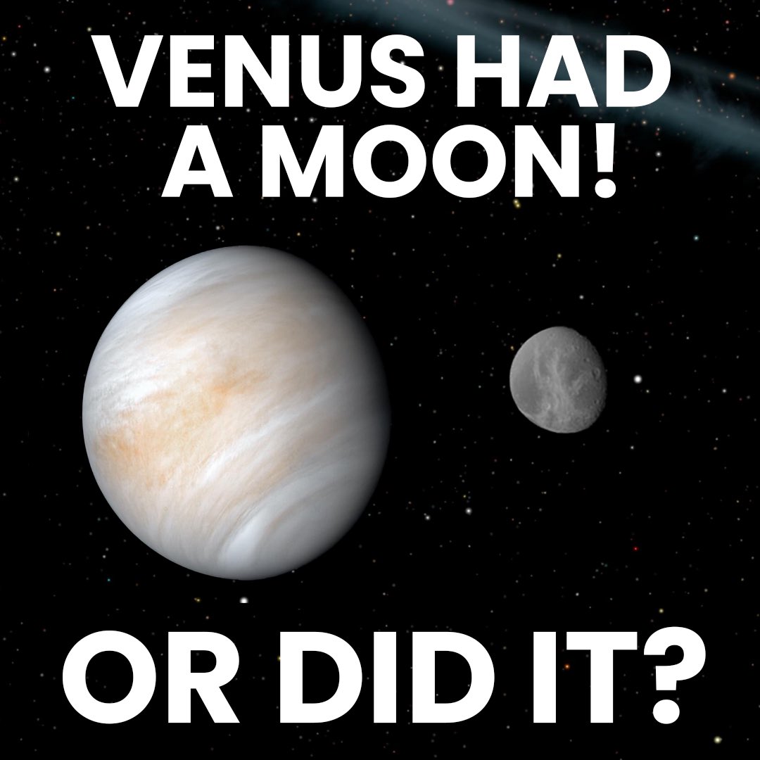 activegalactic's tweet image. Venus doesn’t have a moon… right? We know now our warm planetary neighbor doesn’t have any natural satellites, but go back a few hundred years and astronomers weren’t so sure. Check out our new video to hear the whole story: youtu.be/aEXL4ZIyAf0 
 
#astronomy #space #venus