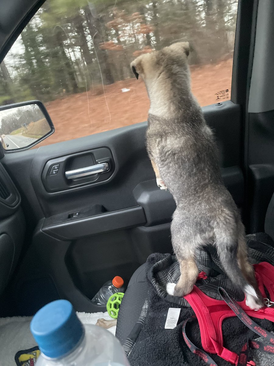 TellEmWhyCy's tweet image. Me and my shotgun rider bama bound