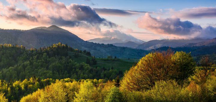 SISEFtweet's tweet photo. In questo #2022 di #elezioniamministrative abbiamo stilato una lista di #10priorità per le #foresteitaliane nella speranza che la nostra voce di esperti e professionisti del settore selvicolturale e forestale sia ascoltata 🌳
Eccola 👇
https://t.co/4q5cVLIWL3 #goodresolutions https://t.co/MxBCp6g8W8