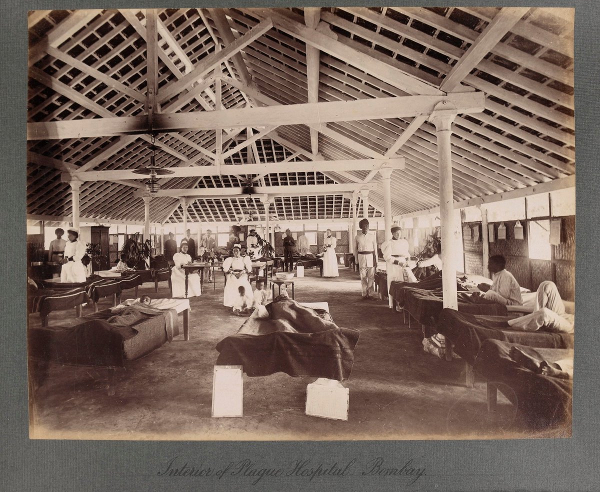 IndiaHistorypic's tweet photo. 1890s :: Temporary Hospital For People Suffering From Bubonic Plague In Bombay .

In 1855 Bubonic #Plague Originated In Yunnan , #China And Spread Across The World Killing Millions https://t.co/QuPESqb5og