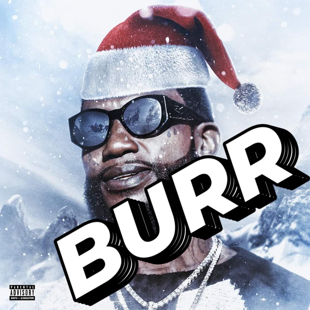 Toad313's tweet image. And here's @gucci1017 with the weather #Snowmageddon