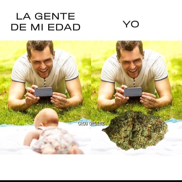 El Paragua Venenoso (@elparaguayo1231) on Twitter photo 