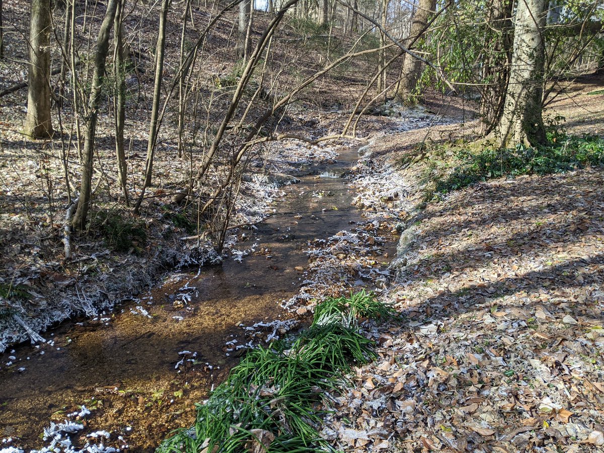 Katherine Fraser tweet media