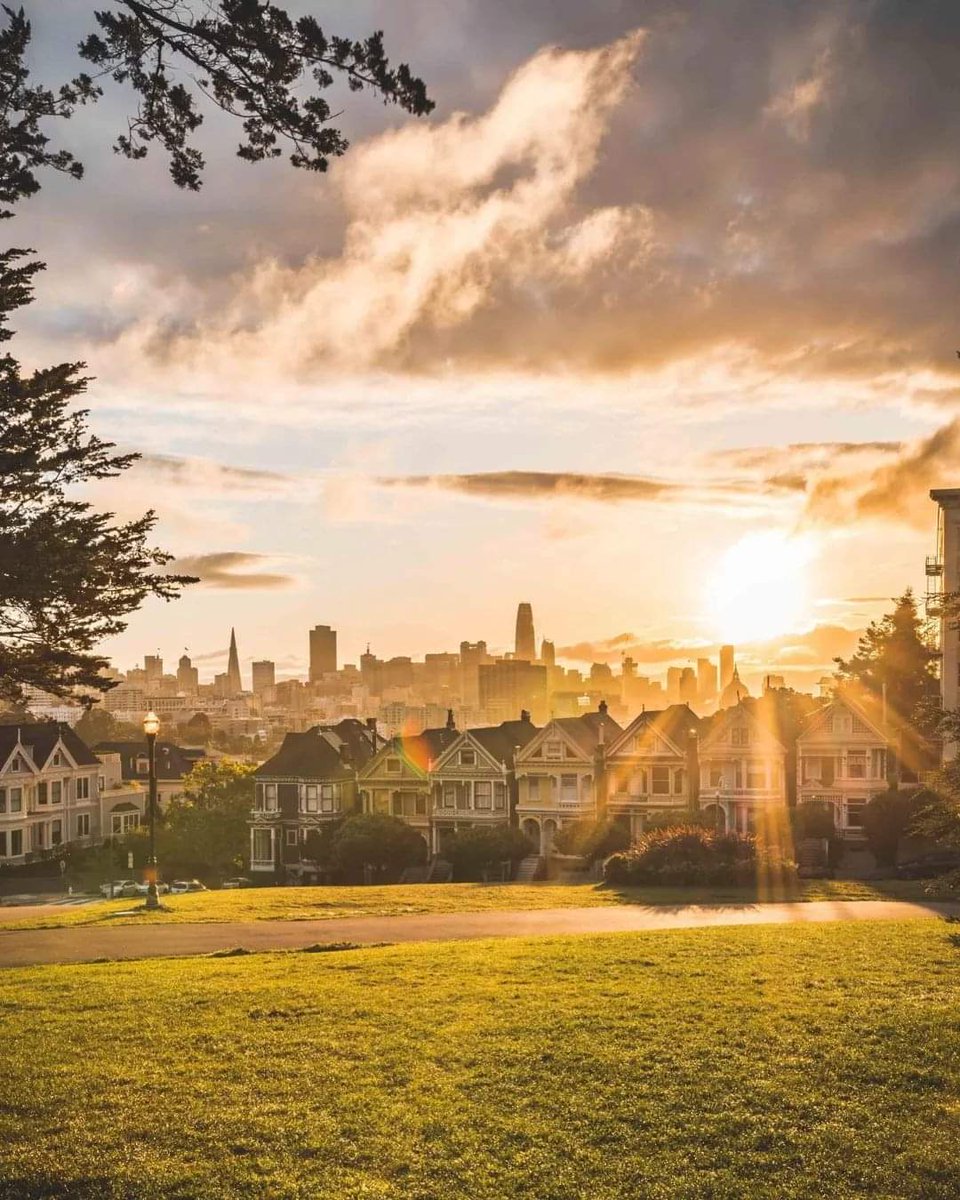 SF_Feelings's tweet photo. Painted Ladies by @BrandonImagesby https://t.co/Gl0Er0CnZ8