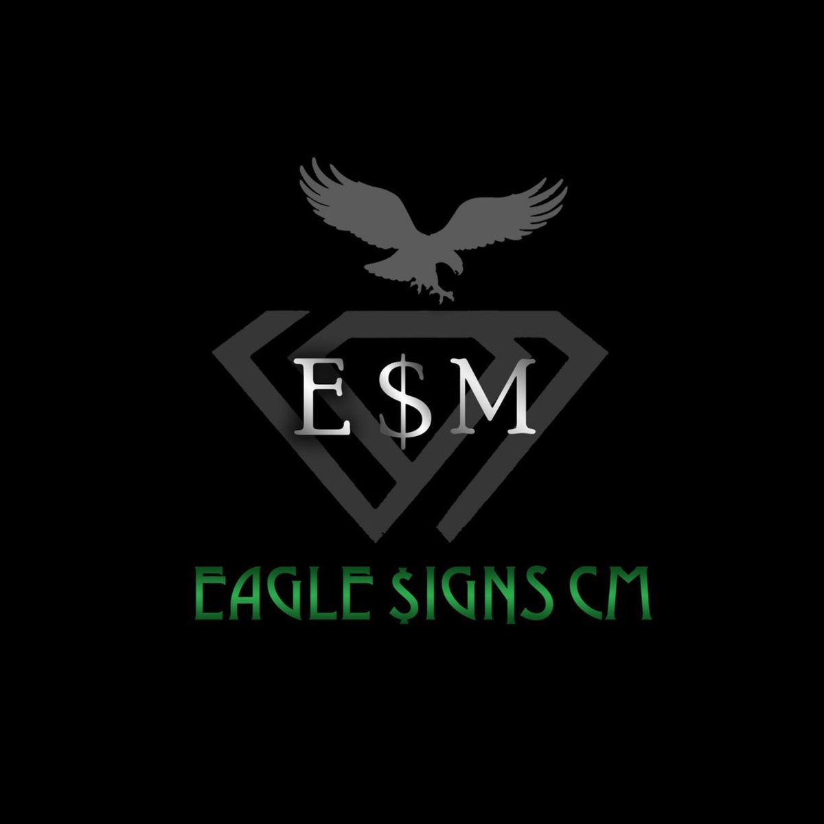 eaglesignrecord's tweet photo. #NewProfilePic https://t.co/mjbJWgJS1W