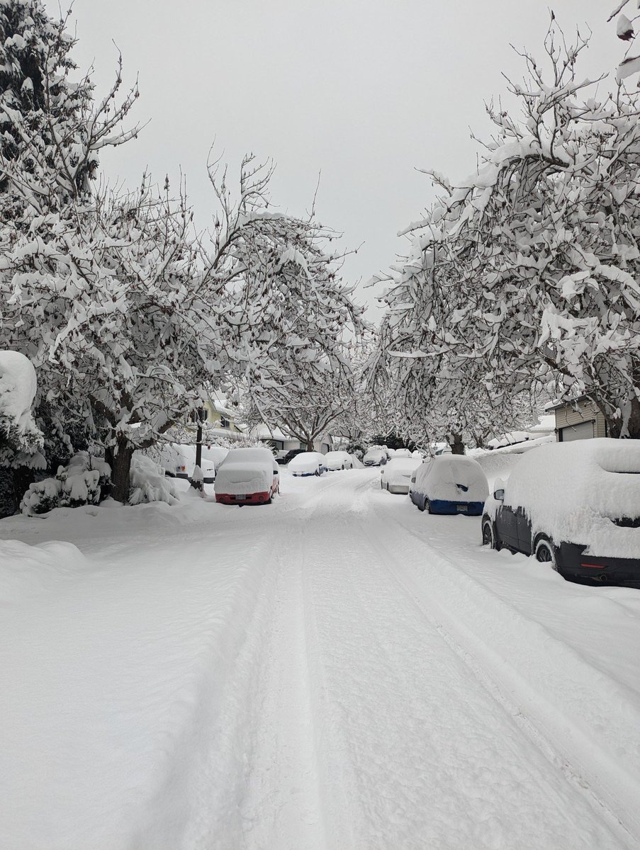 EComm911_info's tweet photo. Drivers are urged to stay home today with winter storm warnings in effect. If you must be on the road, ensure that the snow is cleared from your vehicle, increase your following distance and reduce your speed. #911BC #BCStorm https://t.co/wAeut7yI1e
