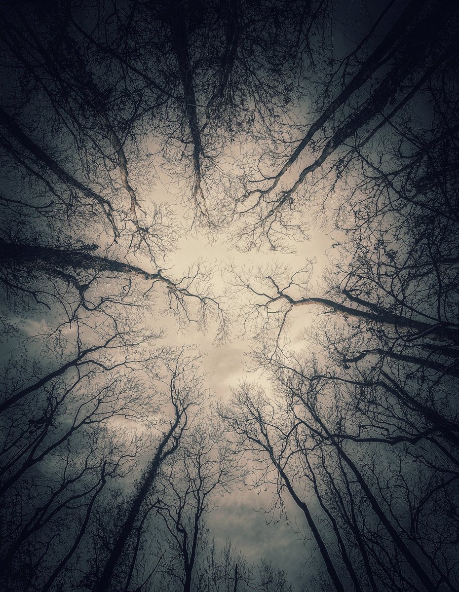a_time_in_grey's tweet photo. slow spirits https://t.co/kD2ZVjiniv