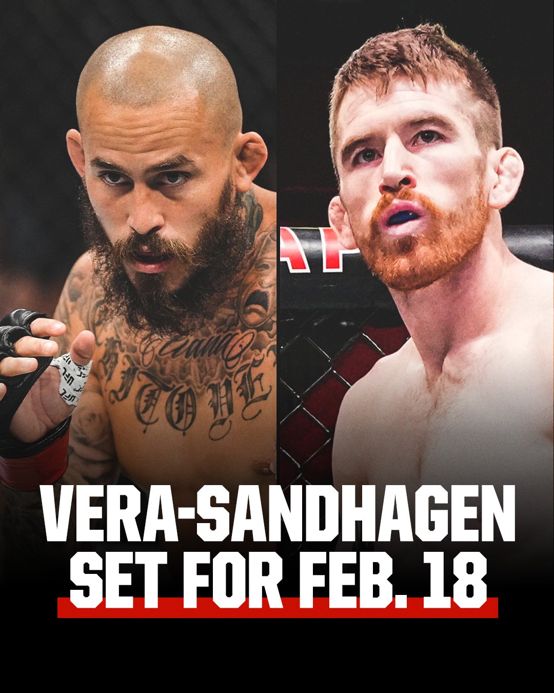 Ufc Fight Night Vera Vs. Sandhagen