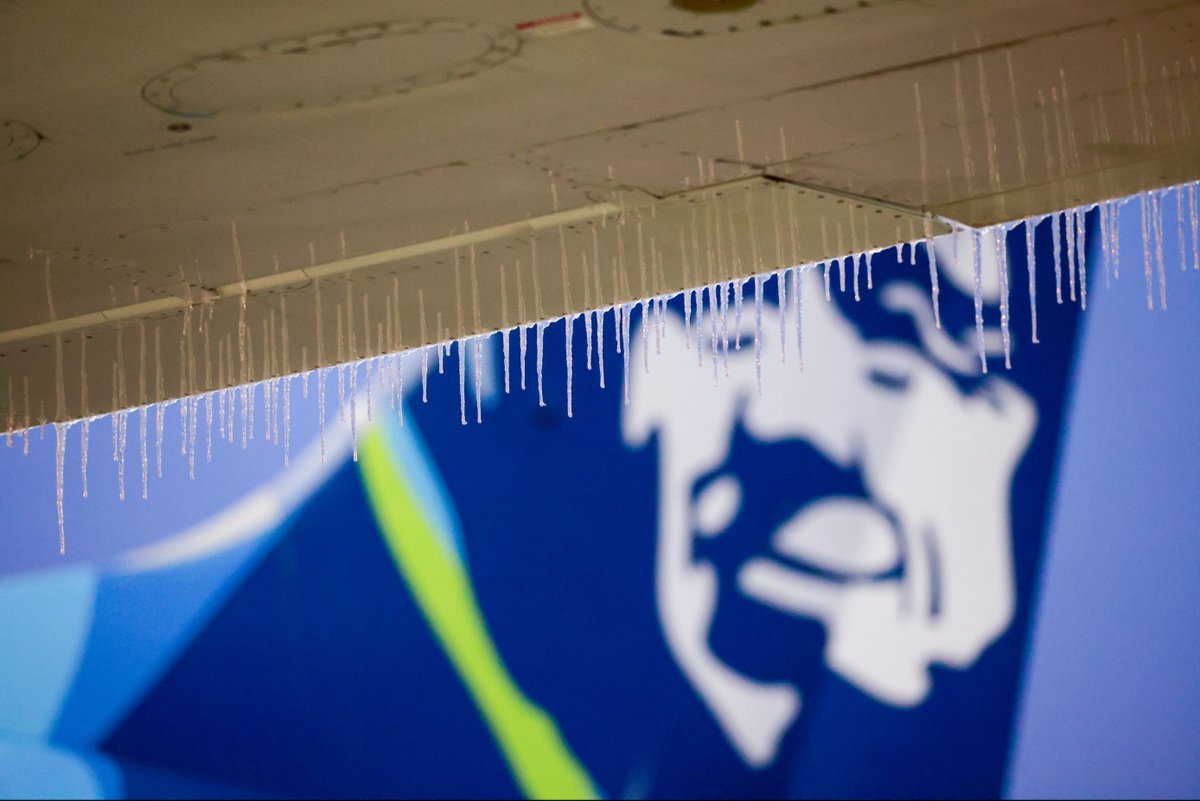 AlaskaAir's tweet photo. Freezing rain &amp; icy conditions at Sea-Tac have forced us to pause flying before noon PST. It will take warmer weather and time to clear our ramp and aircraft of ice. We are working hard to resume safe operations. https://t.co/Dntjiyvwgc https://t.co/Cz2BiGCqSp