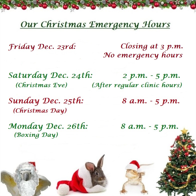 ExoticPetVets's tweet photo. Due to the current winter storm conditions we're closing early today at 3 p.m. and won't be offering our after-hours emergency service tonight. Our #EmergencyHours Saturday run from 2 p.m. to 5 p.m. We are open for emergencies 8 a.m. to 5 p.m. on both #ChristmasDay #BoxingDay. https://t.co/9paM4DfwR8