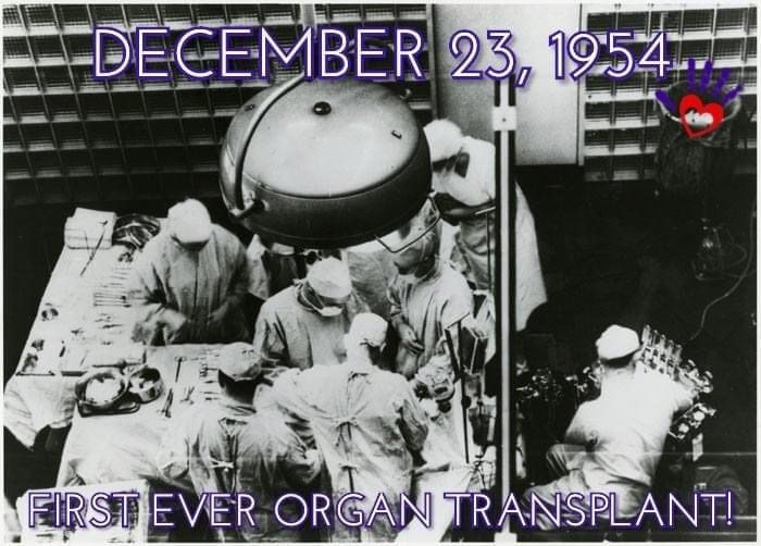 MaddogStrong's tweet photo. 68 years ago today the first ever human organ transplant occurred. A kidney was transplanted on December 23, 1954 in Boston. #MaddogStrong #historyofdonation #TeachLife https://t.co/iV3ezBjYnY
