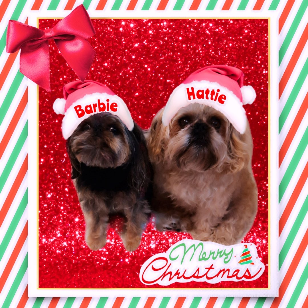 Jerry Hughes tweet media