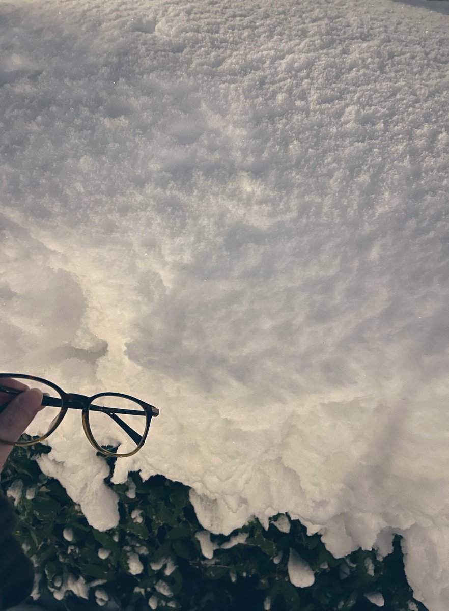 「アップしてなかった他の写真 メガネ持ってるのは一瞬で曇るので外して歩いてたらから」|やけくそチゲうどんサンバのイラスト