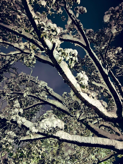 アップしてなかった他の写真 メガネ持ってるのは一瞬で曇るので外して歩いてたらから 