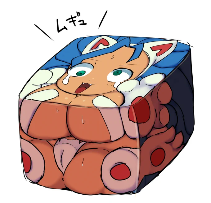 箱詰め 
