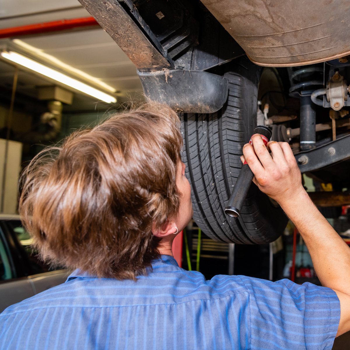 Brownie's Auto tweet media