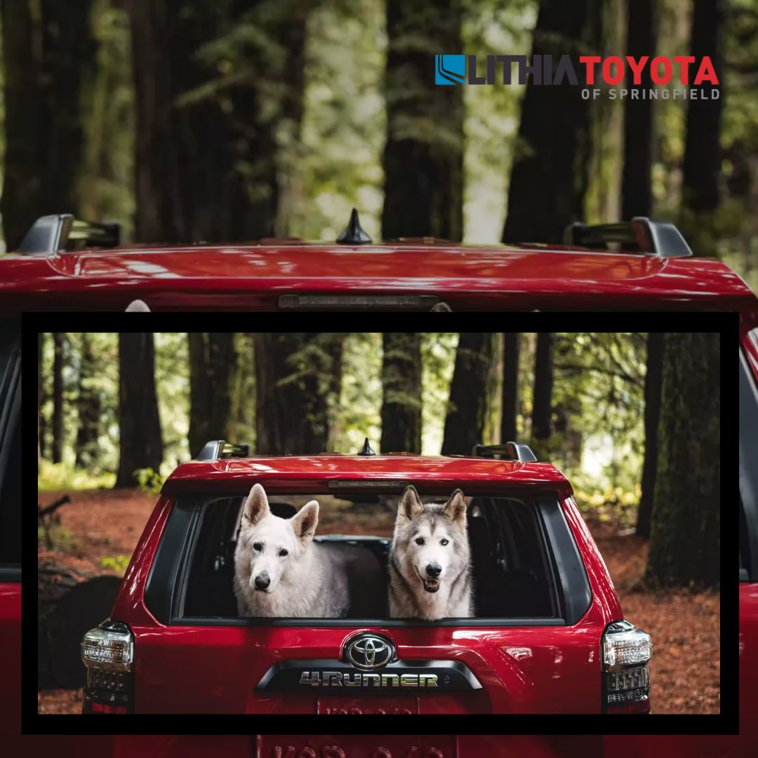 Learn 89+ about toyota lithia springfield best in.daotaonec