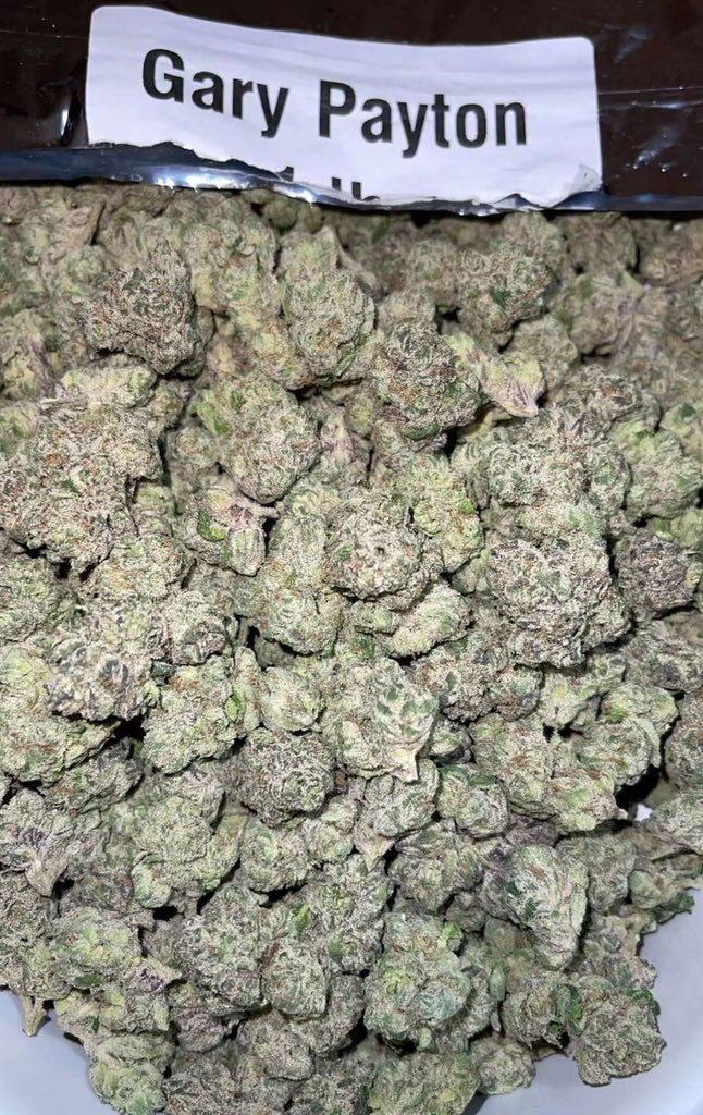 CannabitchTH's tweet photo. :Gary Payton 
#กัญชานอก #cannabispattaya #cannabisthailand  #cannabisexotic #weed #กัญชาชนมือ #กัญชาเชียงใหม่ #cannabisbangkok #กัญชากรุงเทพ #og #cannabisbkk https://t.co/5qjYMdBLqj