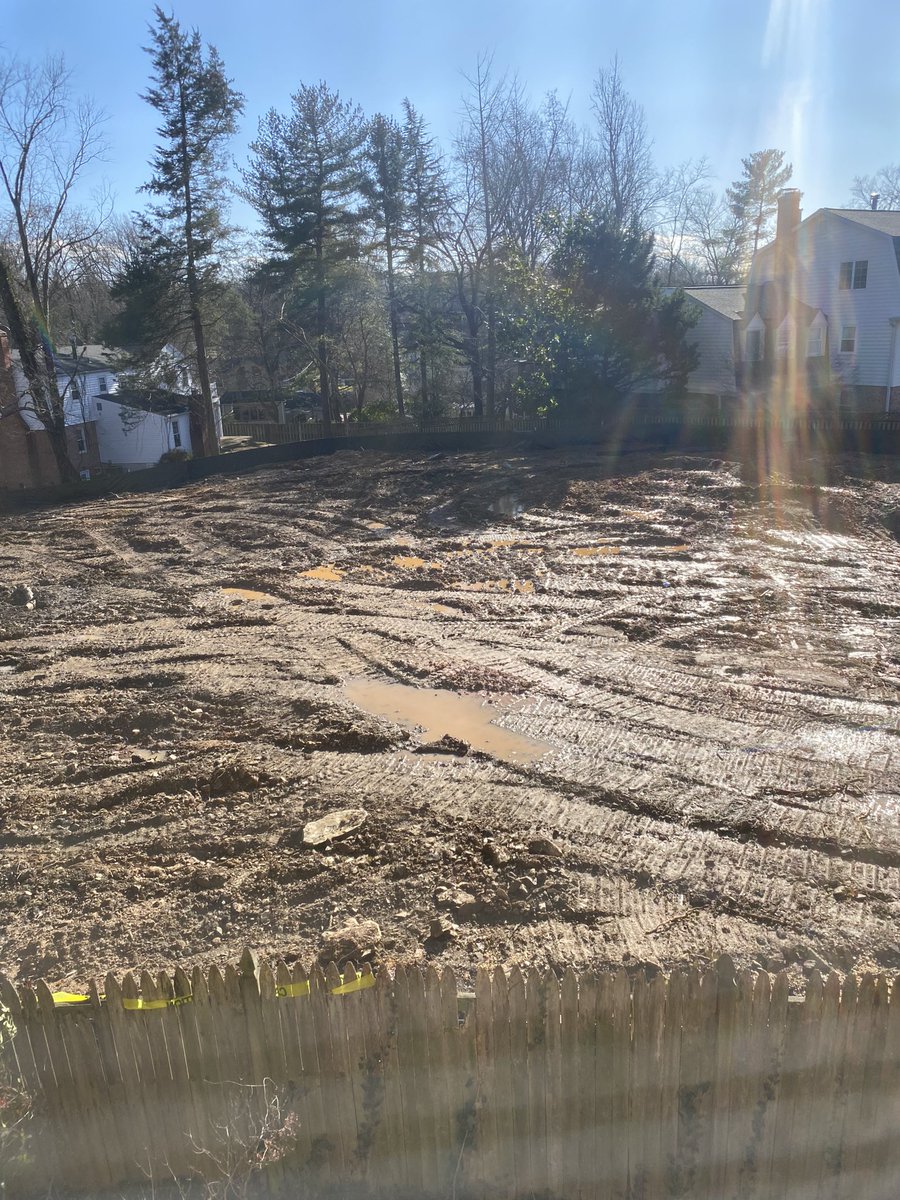 Ben Freeman tweet media